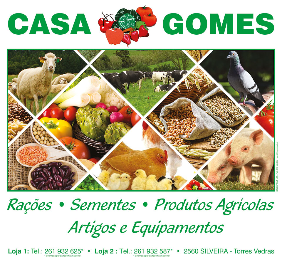 Casa Gomes Guia do Oeste texto